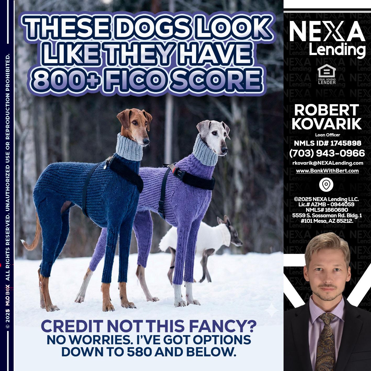 THESE DOGS LOOK - Robert Kovarik -Mortgage Loan Originator